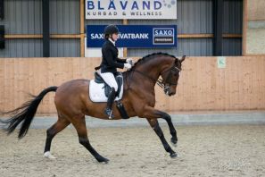 caroline og noosa.jpg